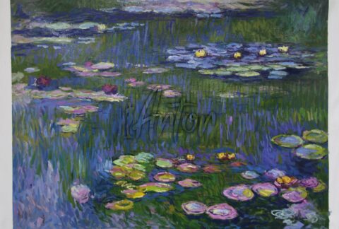 Water-Lilies