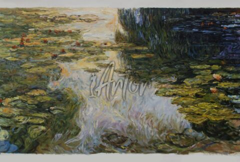 Water-Lilies of Monet