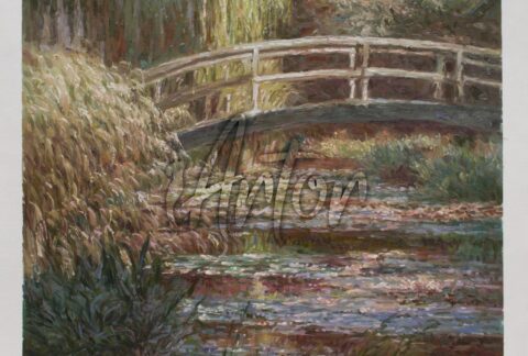 Water-Lily Pond, Symphony in Rose