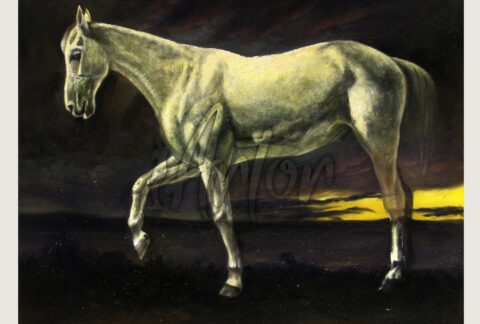 White Horse and Sunset