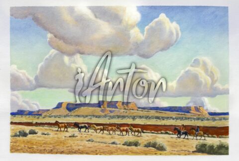 Wide Lands of the Navajo