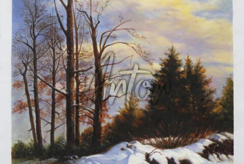 Winter in the Forest