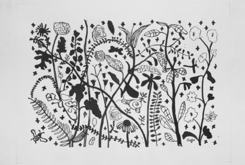 Flowers on Paper